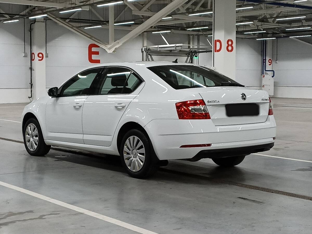 Skoda Octavia с пробегом — 2019 год. Фото: #6